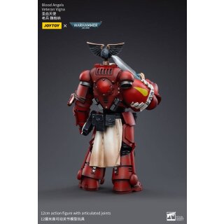 Warhammer 40k Actionfigur: Blood Angels Veteran Vigna
