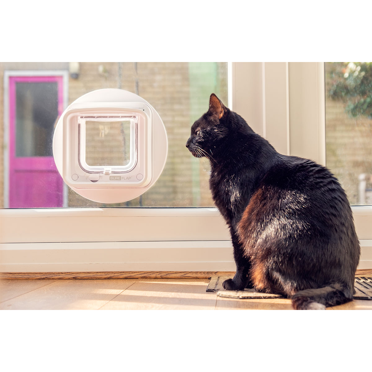 SureFlap Mikrochip Katzenklappe Connect + Hub kaufen