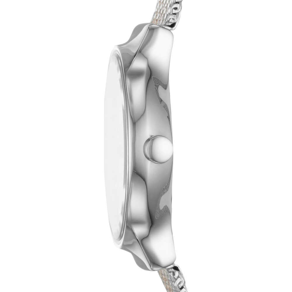 Skagen Montre pour femme Acier inoxydable Montre