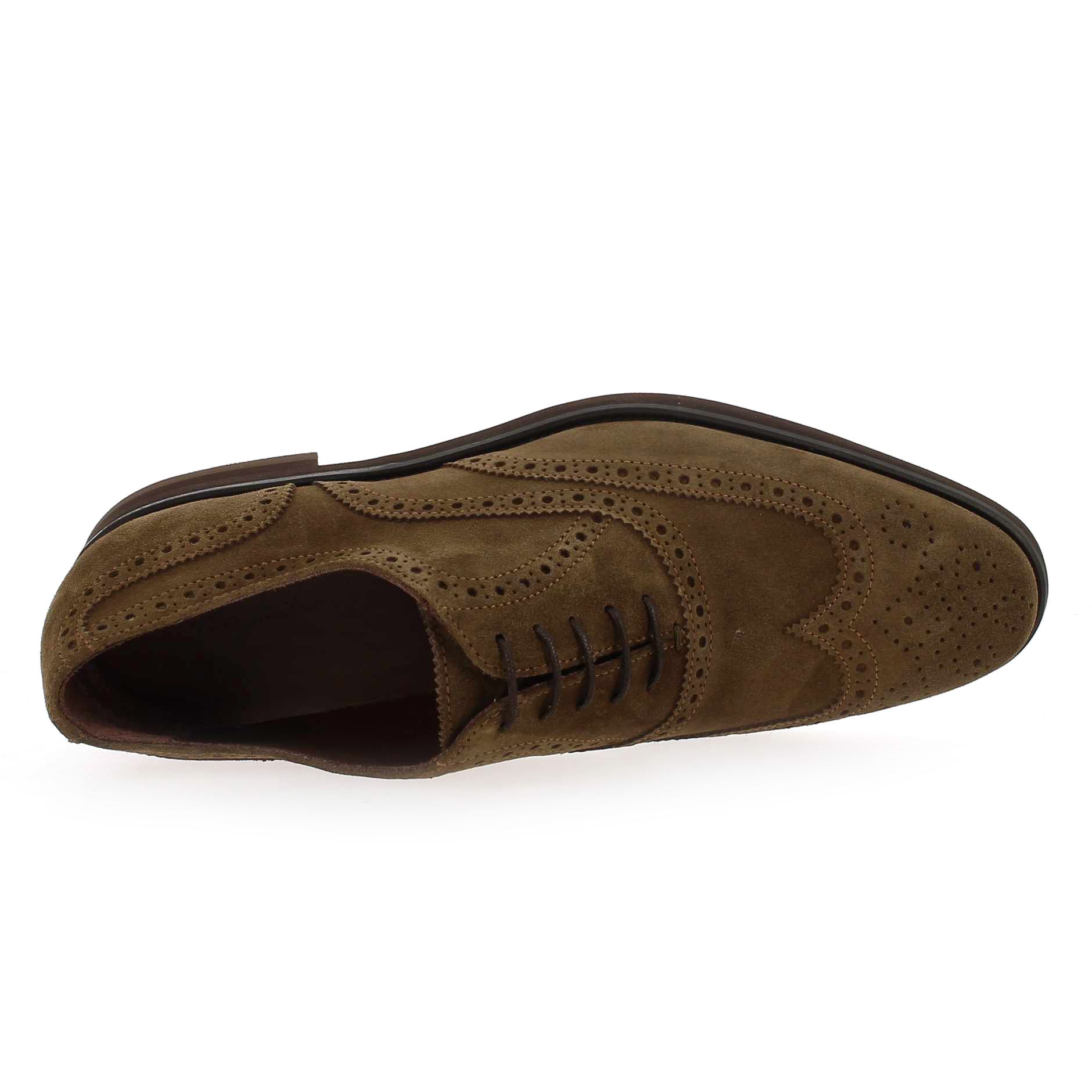 Paco Milan  3491 177 - marron