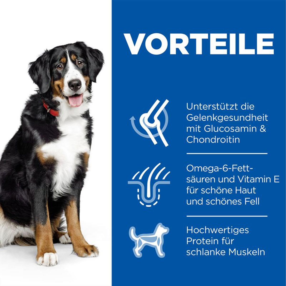 Hill's Science Plan Hund Large Breed Adult Huhn 14kg bei ZooRoyal