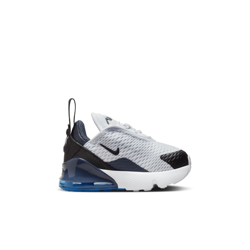 Nike Air Max 270 DD1646-033 / grau