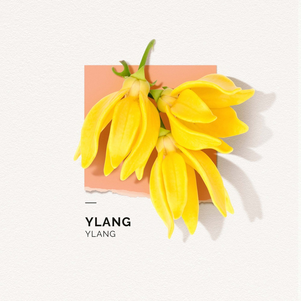Solinotes Ylang Eau de Parfum