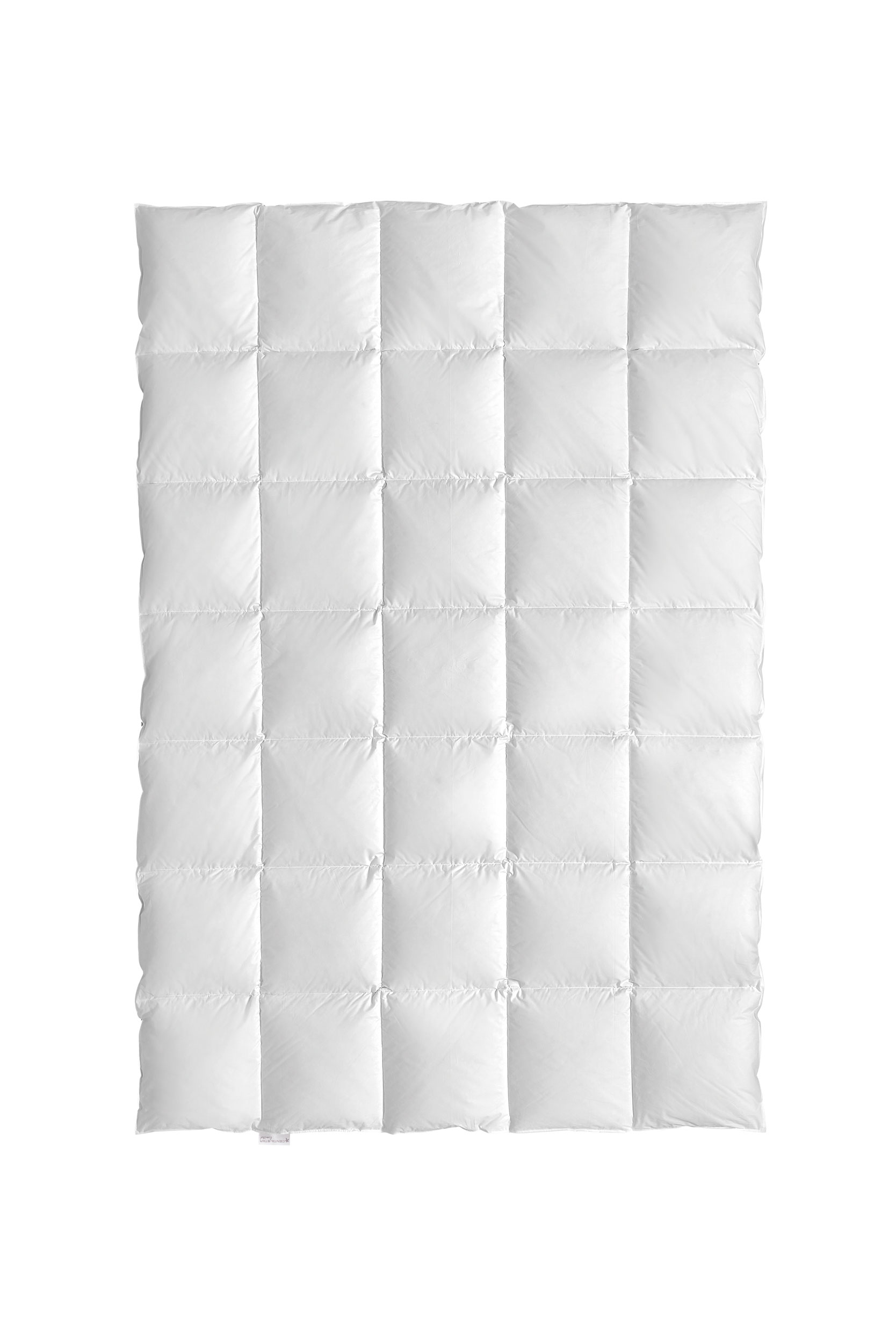 CENTA-STARGanzjahresbett 620g (medium)