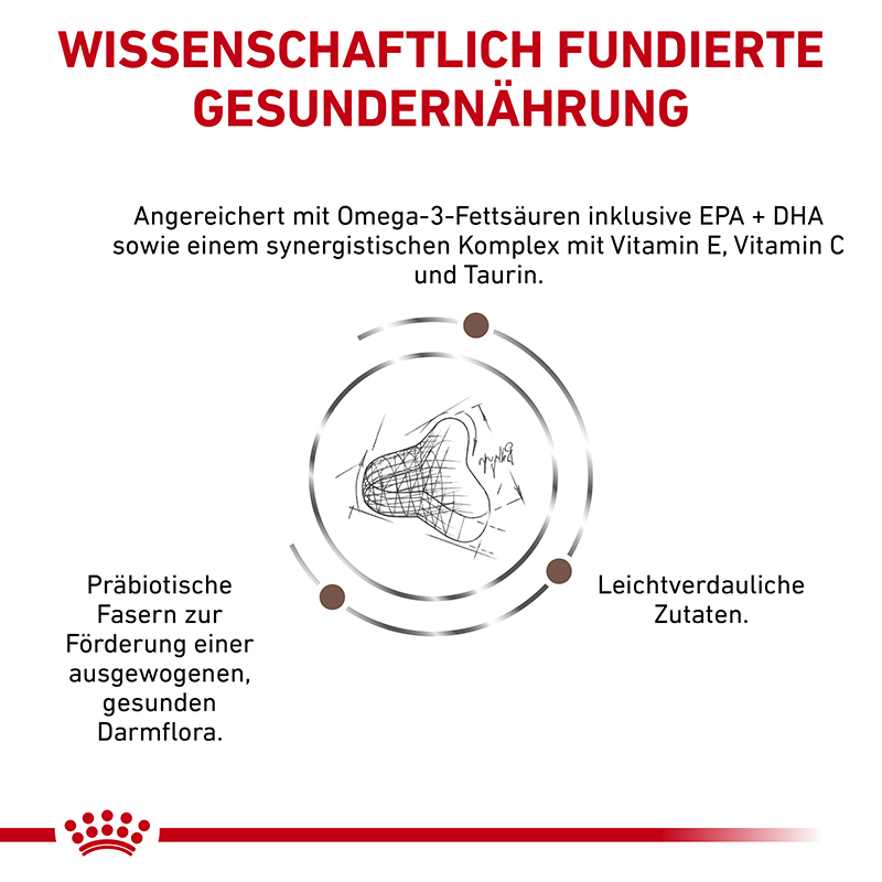 ROYAL CANIN Schonkost ROYAL CANIN Expert Gastrointestinal Fibre Response 2x4 kg
