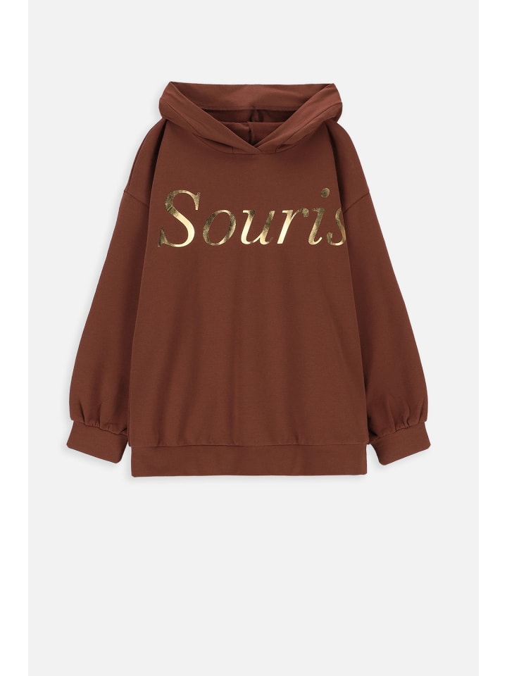 Coccodrillo Sweatshirt in braun günstig kaufen