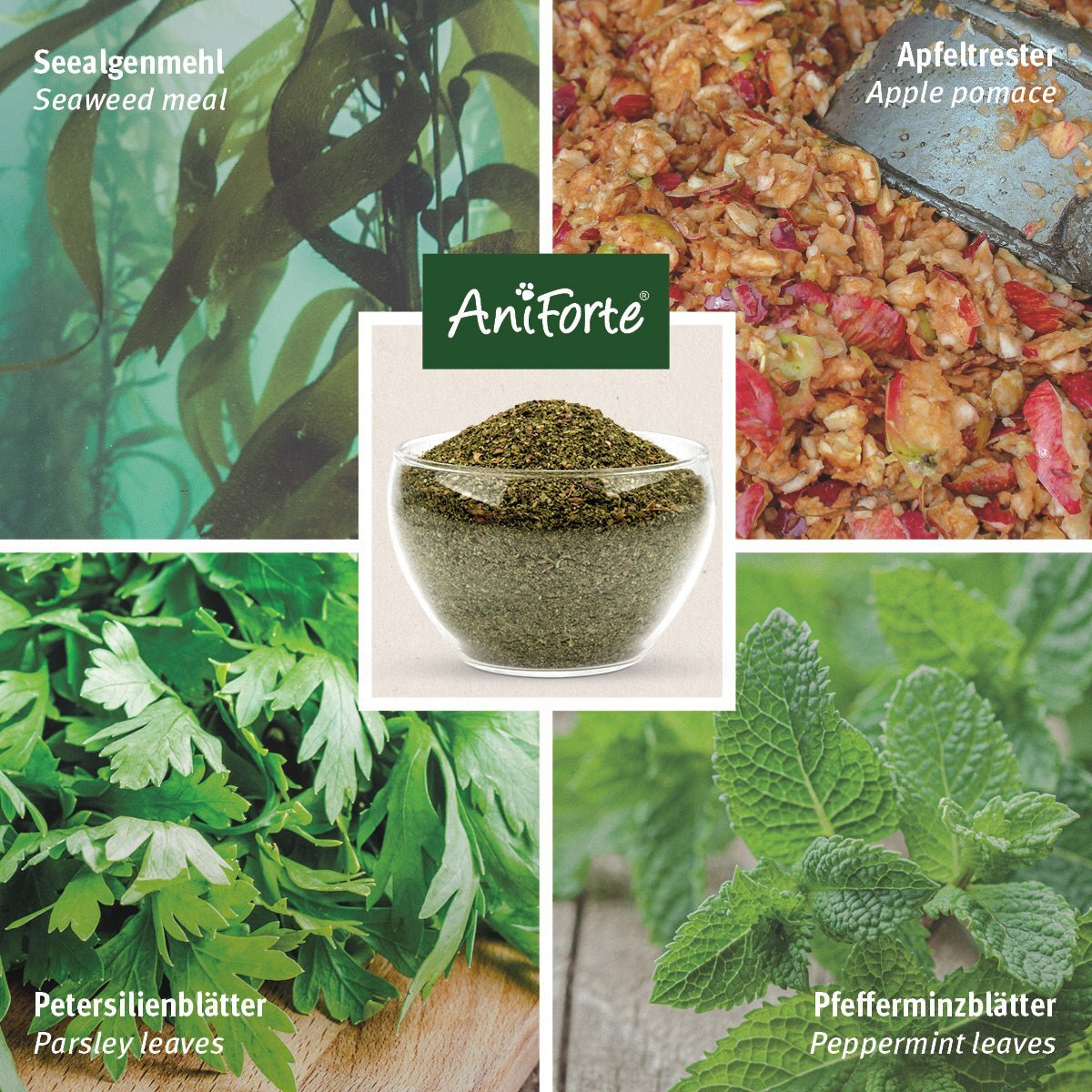 Aniforte Ergänzungsfutter & Aufzucht Aniforte Denta Clean & Care Zahnpflege Pulver 80 g