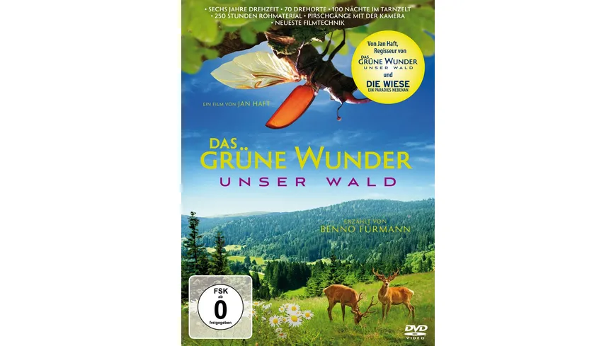 Das grüne Wunder - Unser Wald