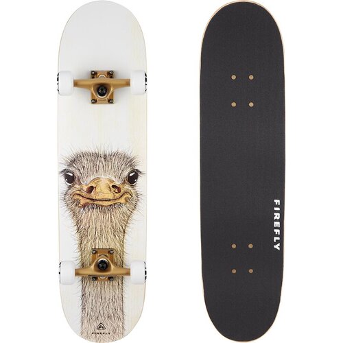 SKATEBOARD SKB 505