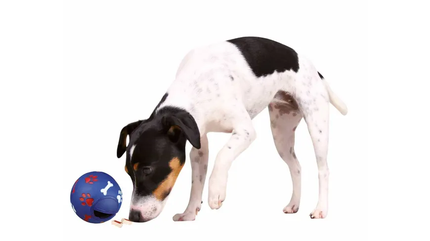 Trixie Activity Snackball ø 7 cm Hunde Spielzeug