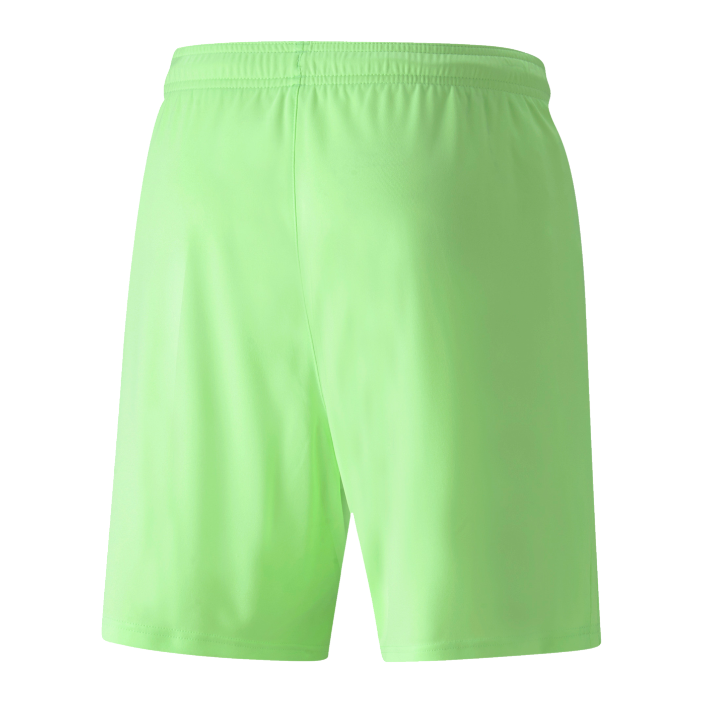 PUMA teamLIGA Short Grün Schwarz F20