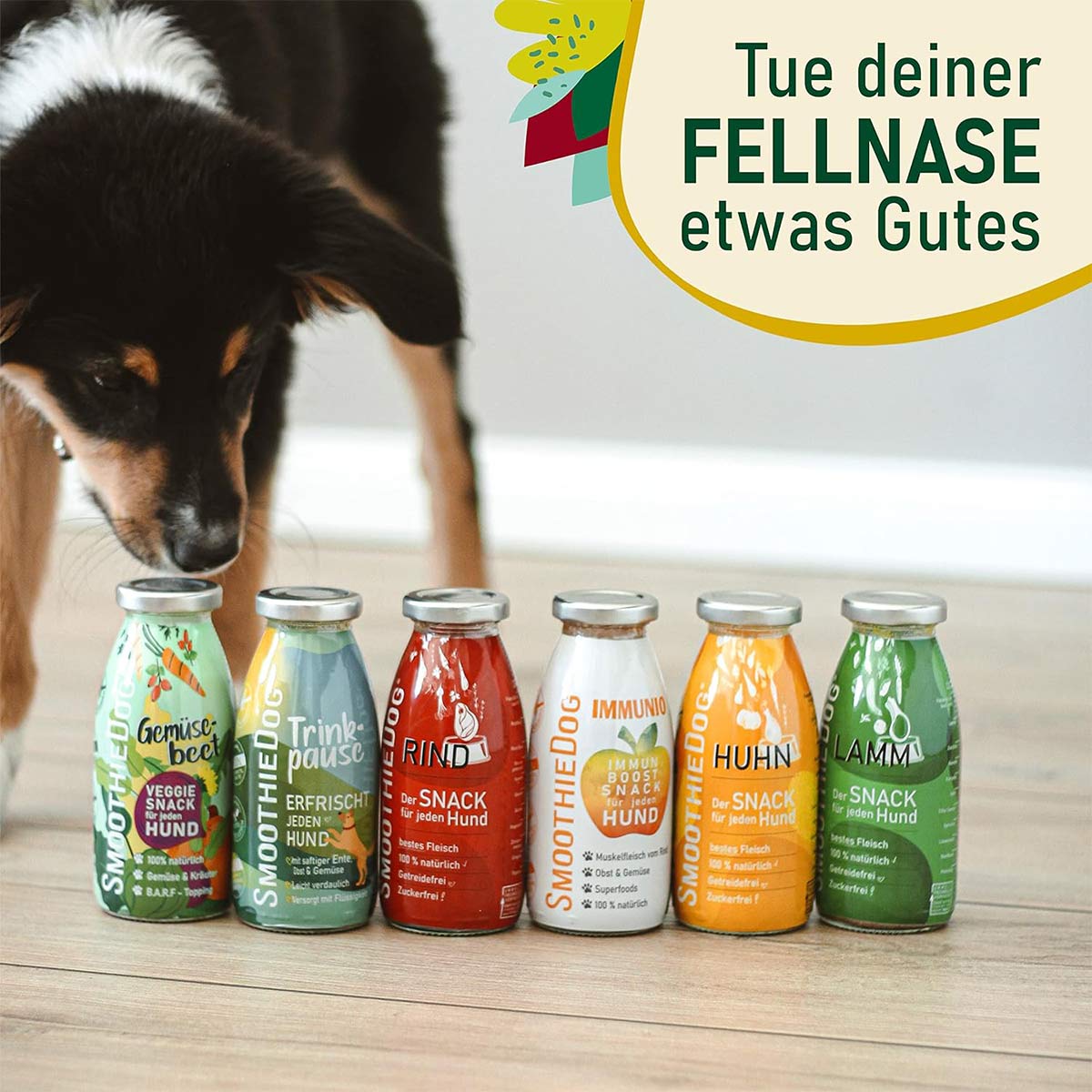 SmoothieDog Mix 6x250ml günstig kaufen bei ZooRoyal