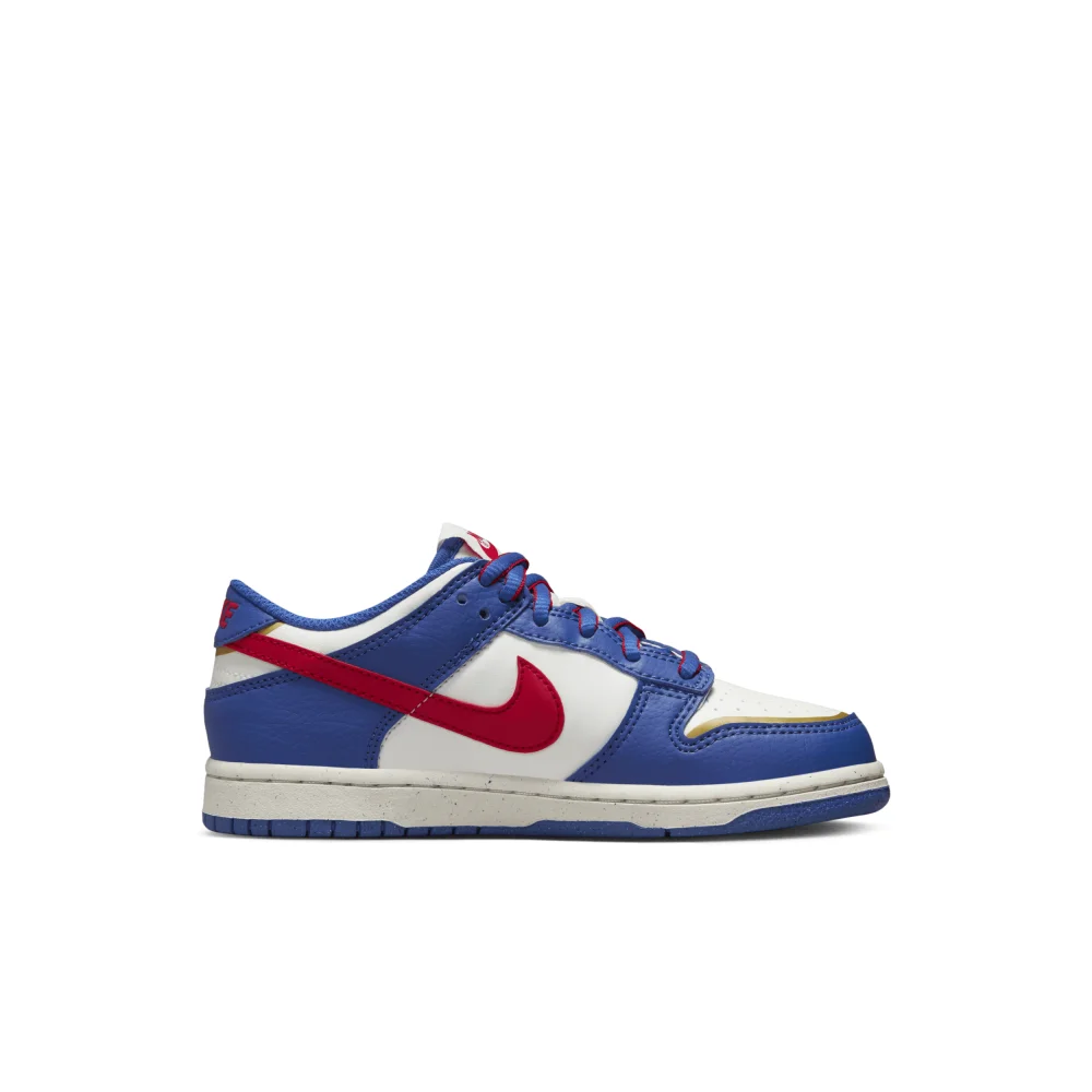 Nike Dunk Low FD0673-400 / blau