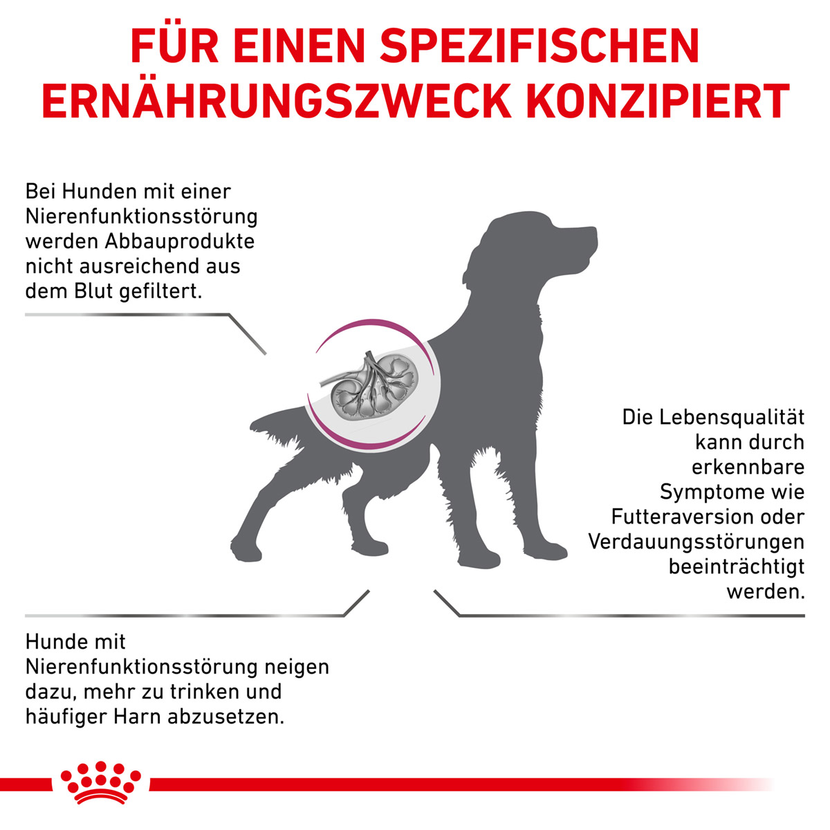 ROYAL CANIN Veterinary RENAL Trockenfutter für Hunde