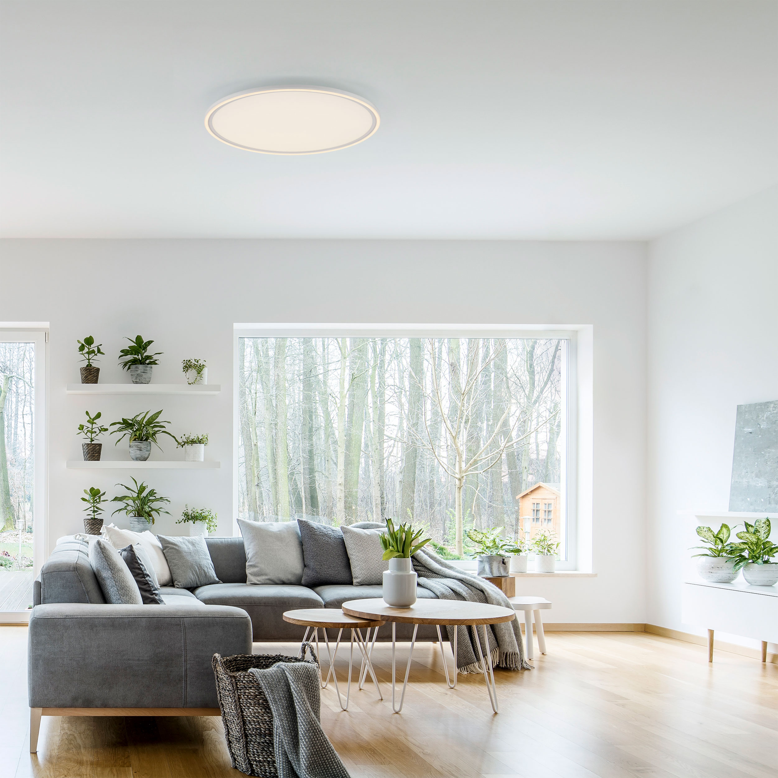 JUST LIGHT.LED-Deckenleuchte 2flg