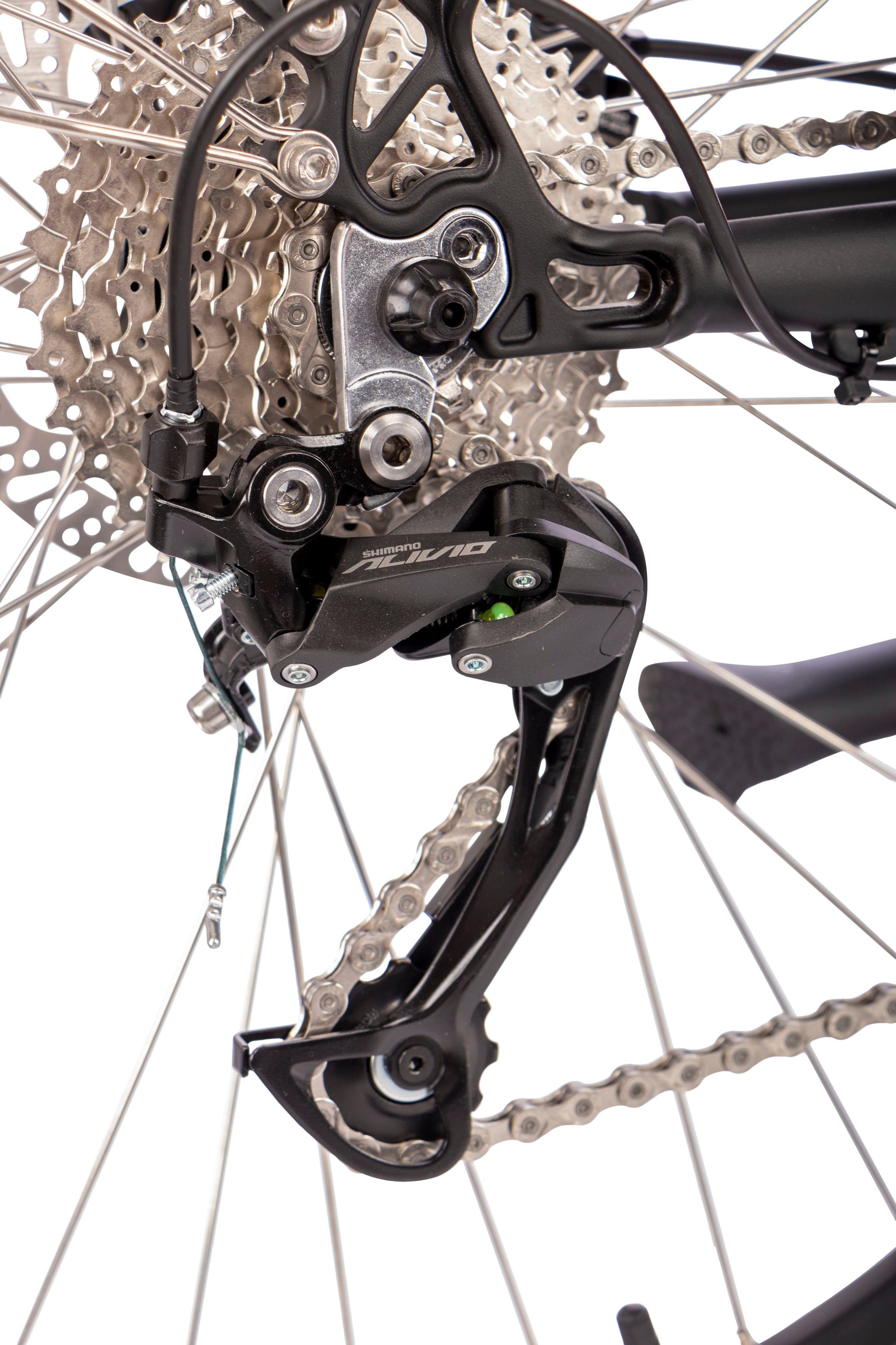 SAXONETTE E-Bike SAXONETTE Deluxe Sport (Trapez), 9 Gang Shimano Alivio Schaltwerk, Kettenschaltung, Mittelmotor, 418 Wh Akku