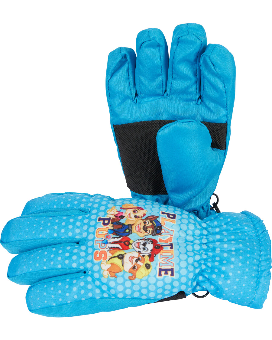 Ski-Handschuhe