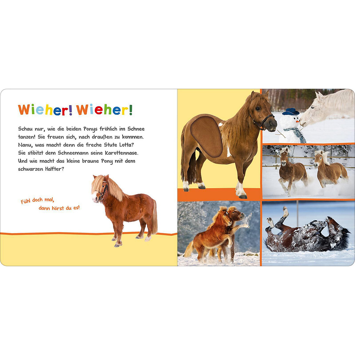 Hör mal rein, wer kann das sein - Kleine Tiere im Schnee