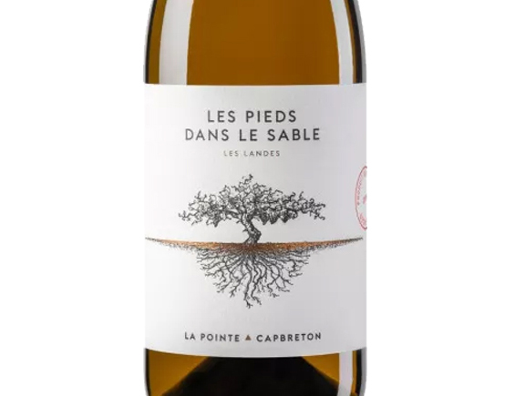 Domaine de la Pointe les Pieds Dans le Sable Igp Landes Blanc 2022 Sud-Ouest igp