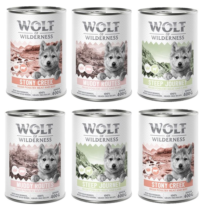 Wolf of Wilderness Junior “Expedition” 6 x 400 g