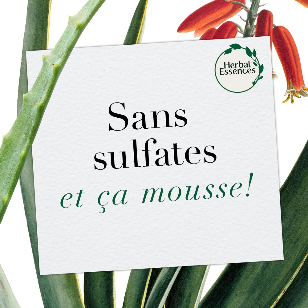 herbal essences Herbal Essences Après Shampoing Aloe EtChanvre 180 ml Après-Shampoing