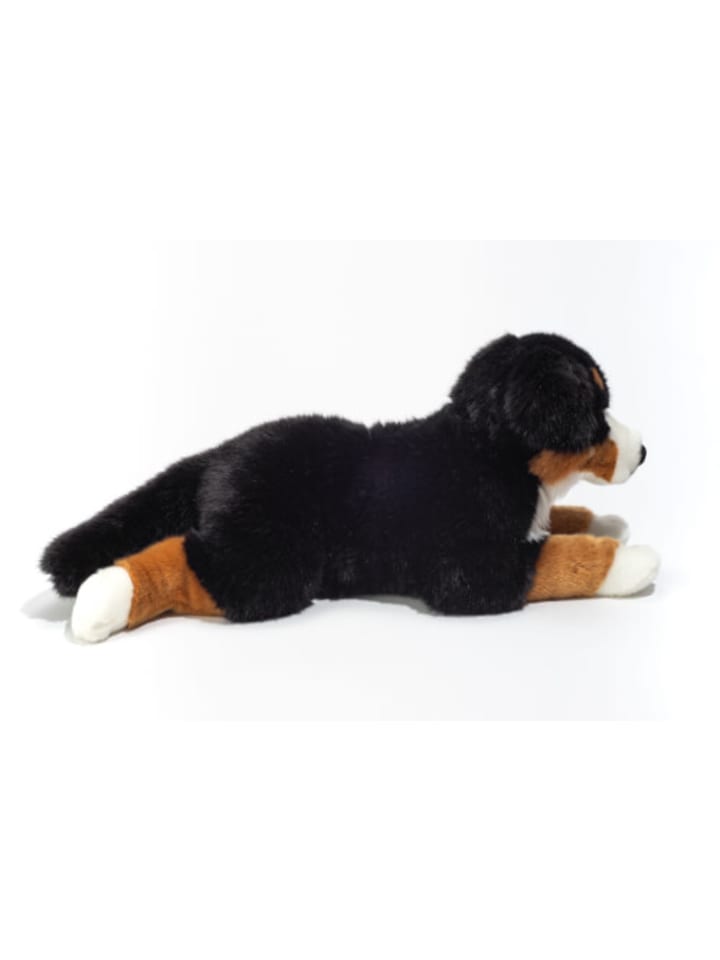 Teddy Hermann Kuscheltier Berner Sennenhund, ca. 60 cm, ab 0 Jahre günstig kaufen onesize