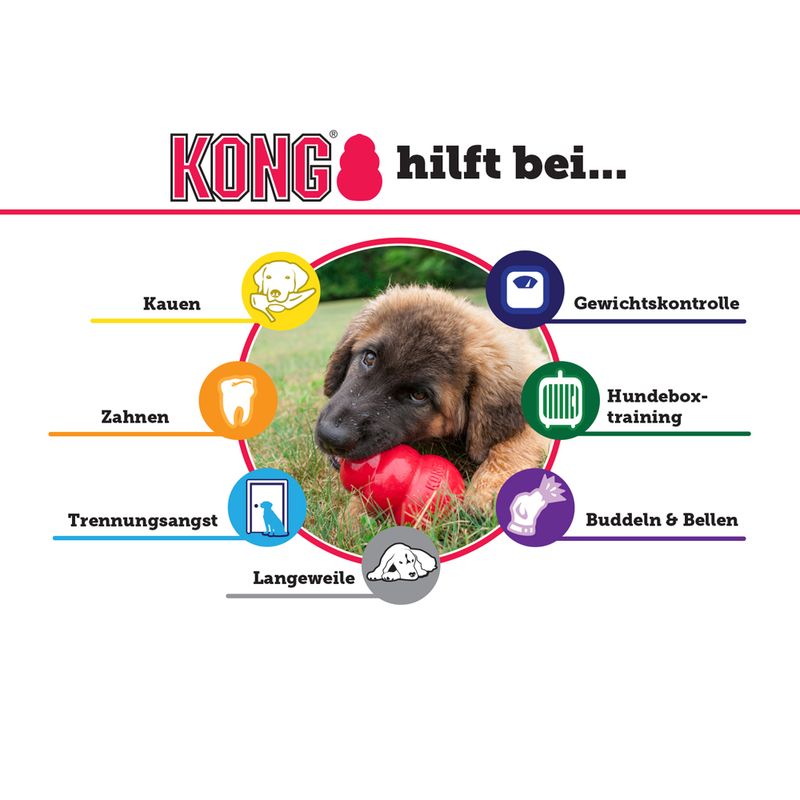 KONG Easy Treat Liver zu TOP-Preisen