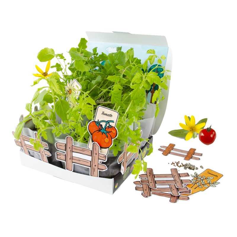 Premier potager Oxybul