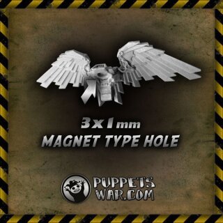 Steam Wings-Packs (5)