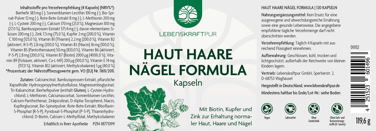 Haut Haare Nägel Formula Kapseln 120St, 119,66 g