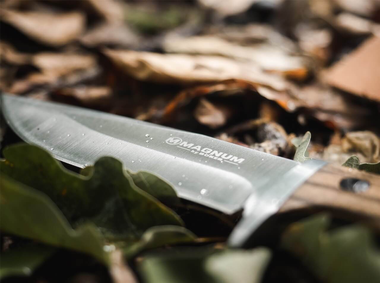Zebra Drop