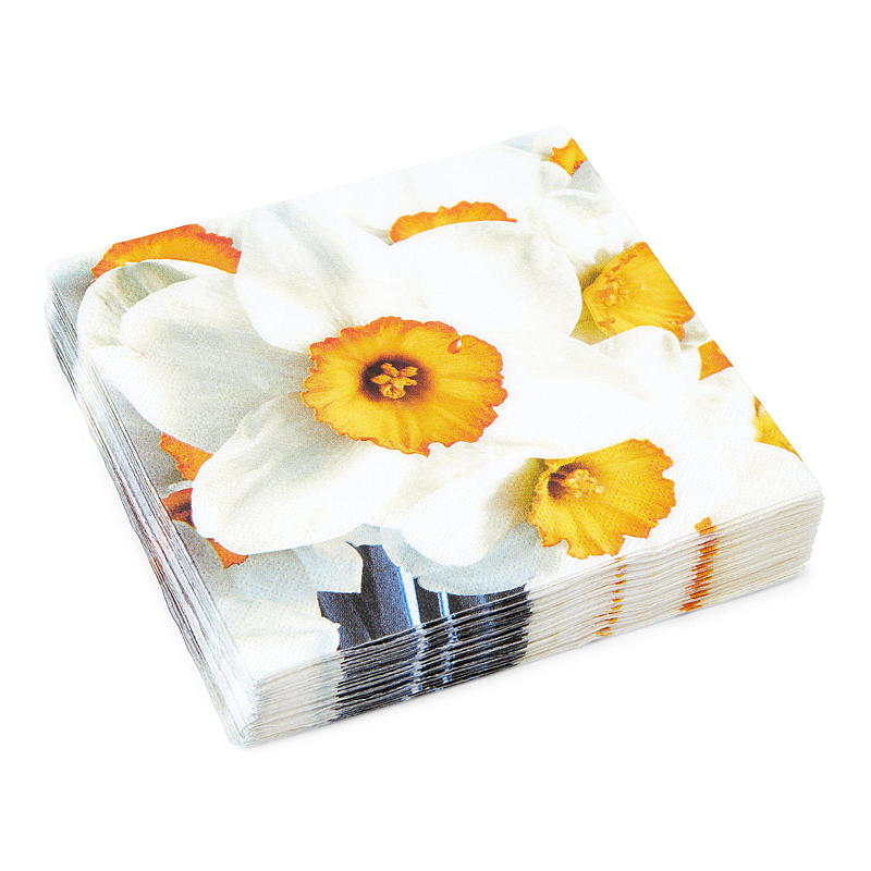 Vie Home Servietter 20-pk 33x33 cm, Påske