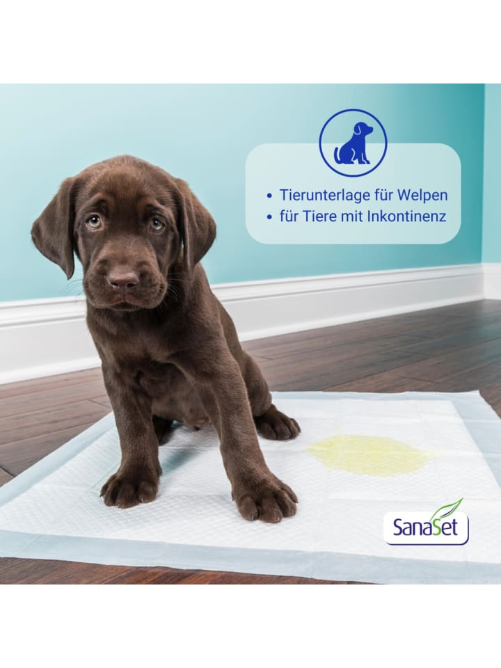 SanaSet Premium Einweg Inkontinenzunterlagen - Senioren, Babys, Tiere (60x60 cm)-30 Stk. günstig kaufen onesize