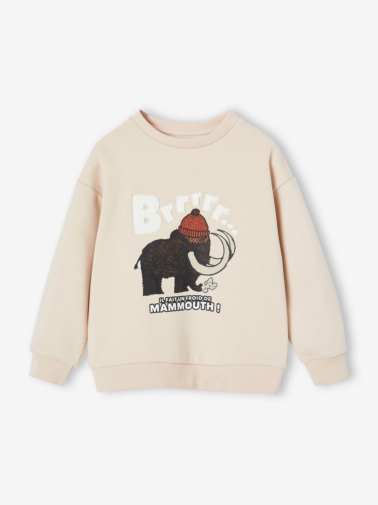Sweat motif mammouth détails en bouclettes garçon beige