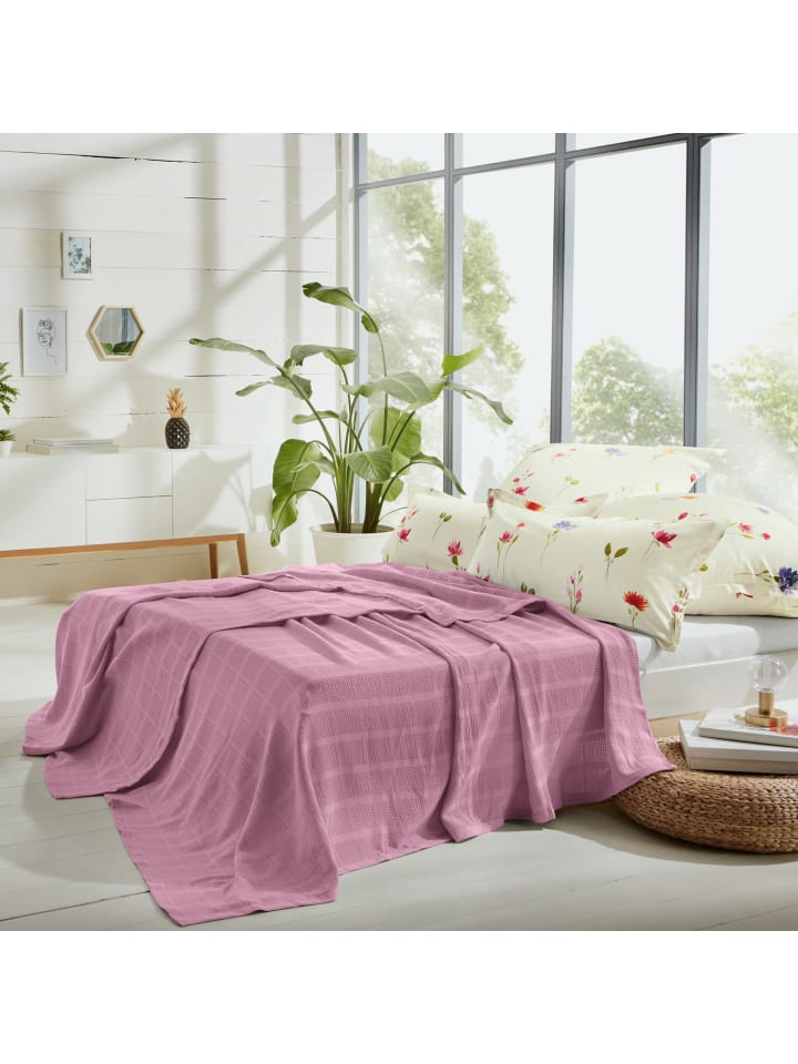 Erwin Müller Baumwolle Sommerdecke Trient in orchidee günstig kaufen