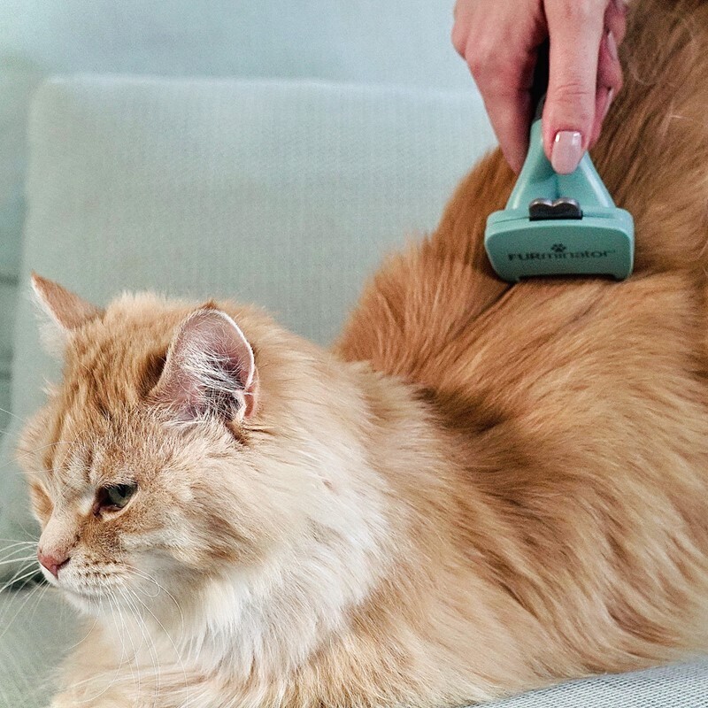 FURminator Fell- & Körperpflege FURminator Katze S Langhaar