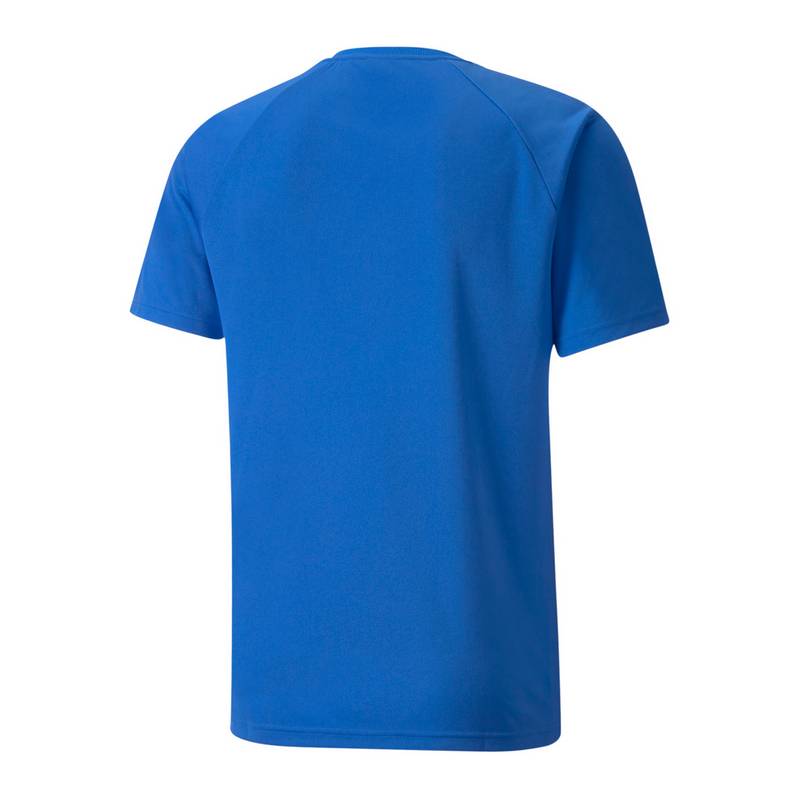 PUMA teamLIGA Striped Trikot Trikot Herren