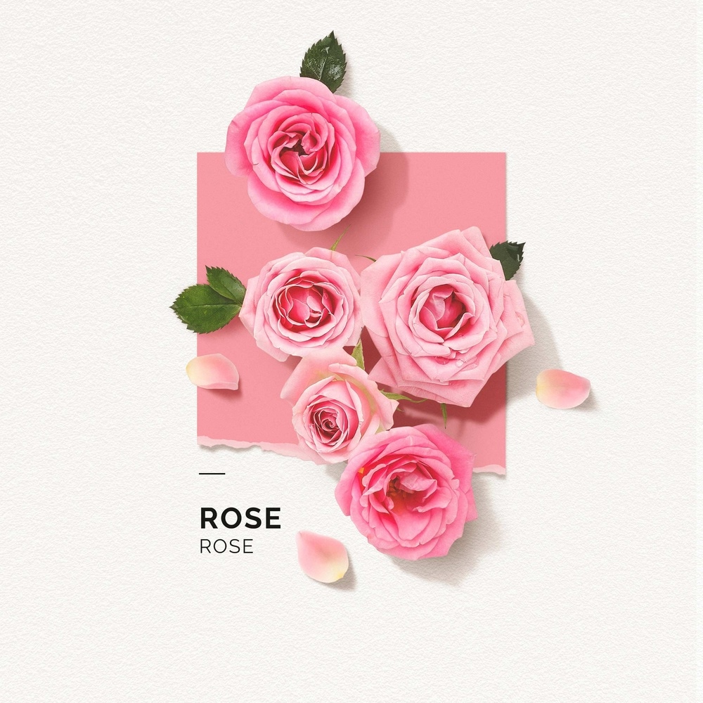 Solinotes Rose Brume Parfumée