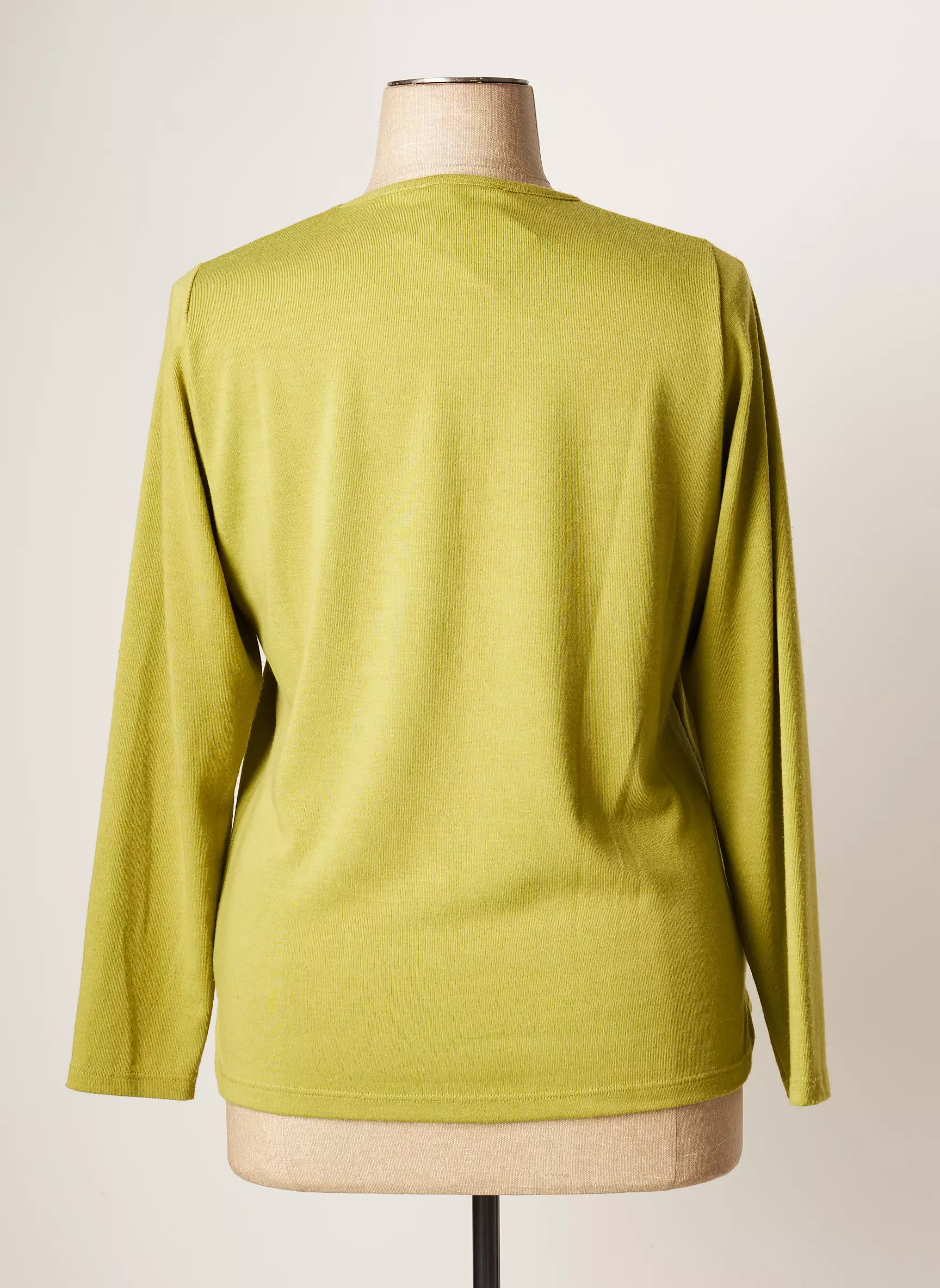 Jean Gabriel Pulls Femme couleur vert