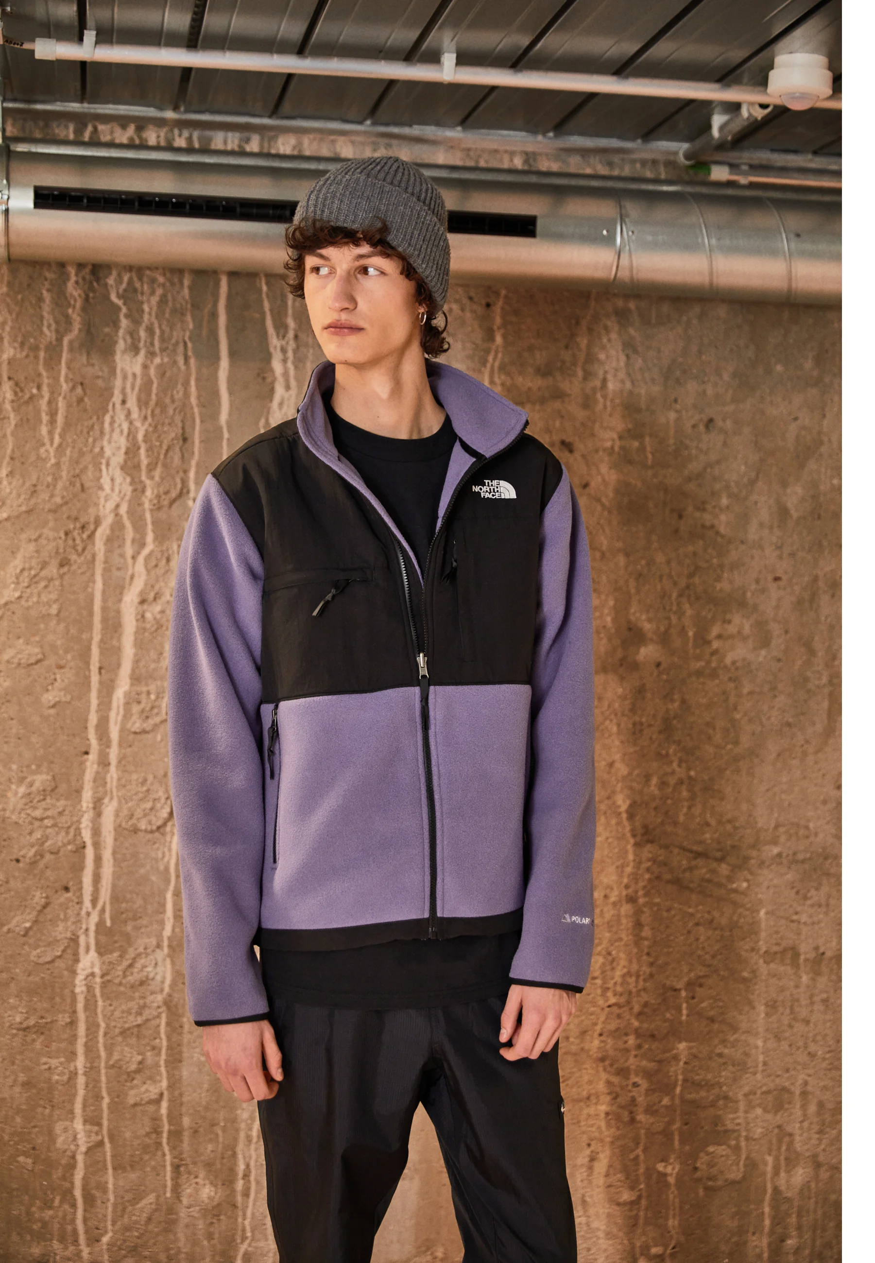 The North Face DENALI JACKET - Chaqueta polar