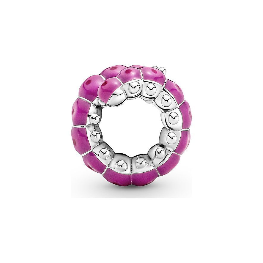 Pandora Charm Moments