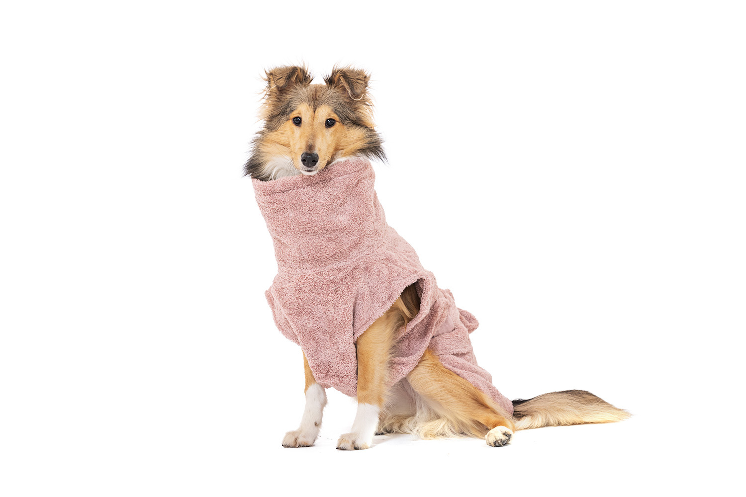Lills Hundemäntel Lills Lill's Hundebademantel 
