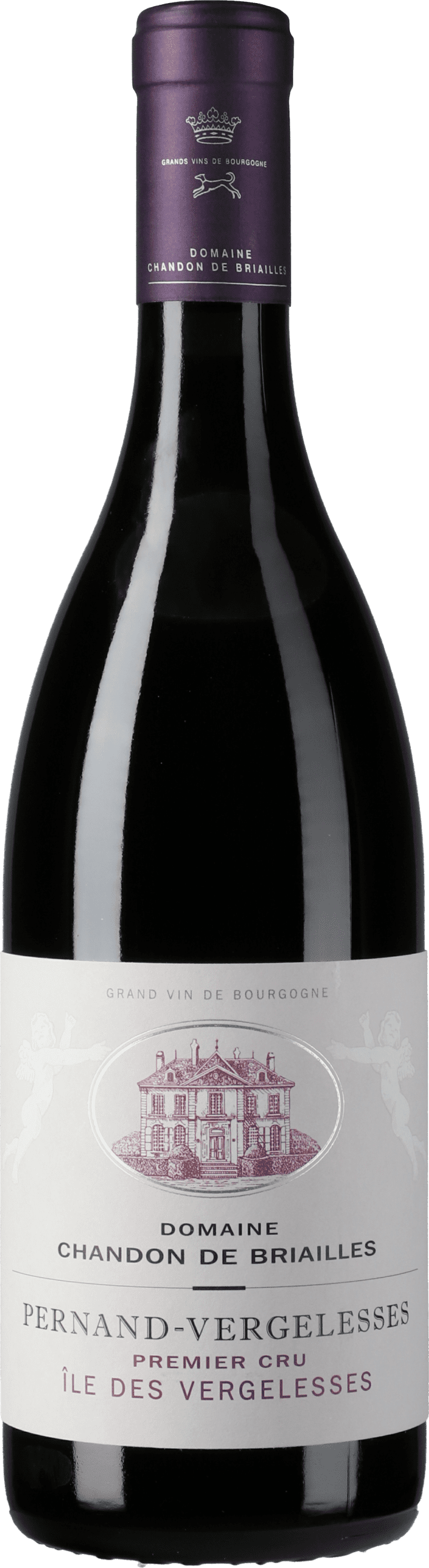 Chandon de Briailles: Pernand Vergelesses Premier Cru Ile des Vergelesses Rouge 2020