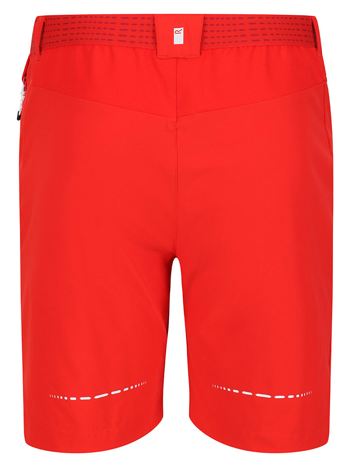 Regatta Funktionsshorts 
