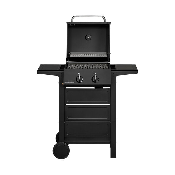 Gasgrill San Diego 2