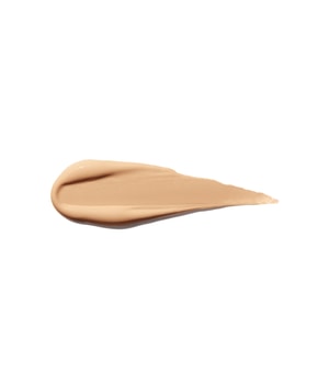 Shiseido Synchro Skin Self-Refreshing Concealer-5.8 ml