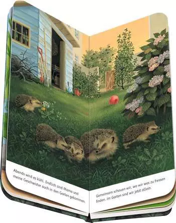 Ich bin der kleine Igel
