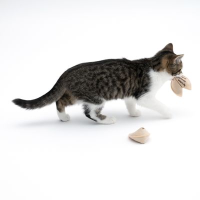 TIAKI Glückskekse mit Katzenminze