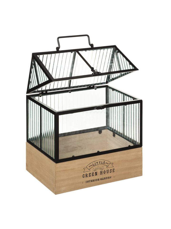 Atmosphera Créateur d'intérieur Mini-Gewächshaus in schwarz günstig kaufen onesize