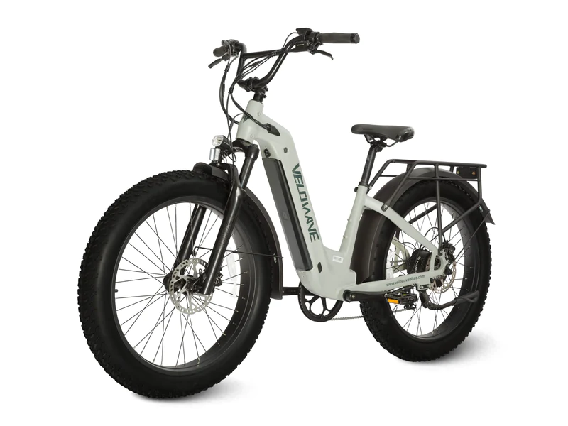 Ranger Step-Thru 2.0 Electric Bike